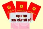 Dich Vu Vu Xin Cap So Do