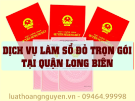 Dich Vu Lam So Do Tai Long Bien