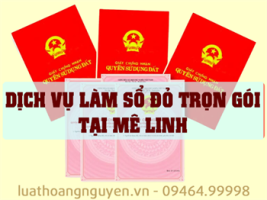 Dich Vu Lam So Do Tai Me Linh